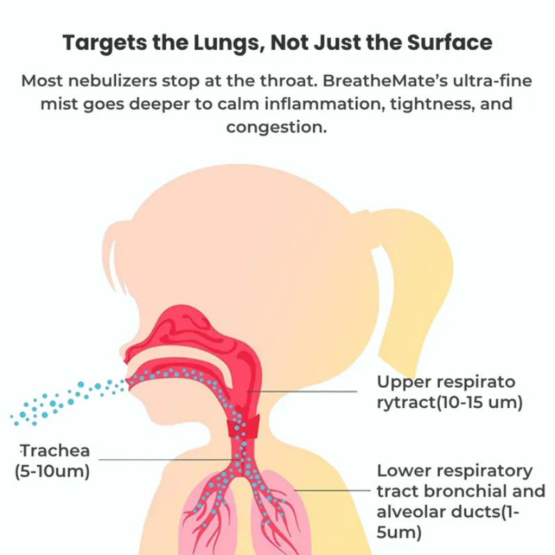 Healpurea™ 2.0 | Breathe Easy, Anytime, Anywhere